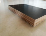  Film Faced Plywood for formwork